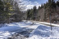 Canada's Forest: Snow-Covered Road Through Towering Trees