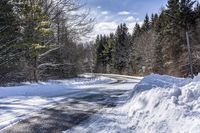 Canada's Forest: Snow-Covered Road Through Towering Trees