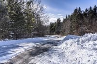 Canada's Forest: Snow-Covered Road Through Towering Trees