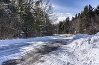 Canada's Forest: Snow-Covered Road Through Towering Trees