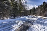 Canada's Forest: Snow-Covered Road Through Towering Trees