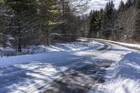 Canada's Forest: Snow-Covered Road Through Towering Trees