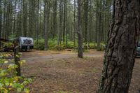 two vehicles in the woods parked next to each other near a road and some trees