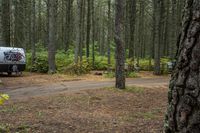 two vehicles in the woods parked next to each other near a road and some trees