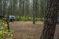 two vehicles in the woods parked next to each other near a road and some trees