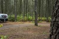 two vehicles in the woods parked next to each other near a road and some trees