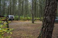 two vehicles in the woods parked next to each other near a road and some trees