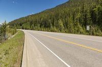 Canada's Highland Road: Nature and Trees