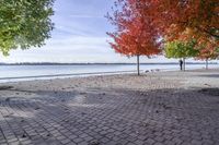 Canada Lake Ontario Shoreline with Colorful Leaves