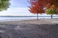 Canada Lake Ontario Shoreline with Colorful Leaves