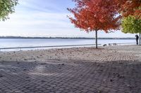 Canada Lake Ontario Shoreline with Colorful Leaves