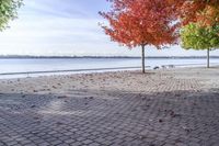 Canada Lake Ontario Shoreline with Colorful Leaves