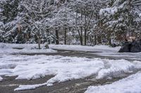 Canada Lake and Residential House on a Snow-Covered Road