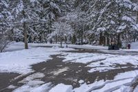 Canada Lake and Residential House on a Snow-Covered Road