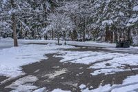 Canada Lake and Residential House on a Snow-Covered Road