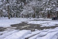 Canada Lake and Residential House on a Snow-Covered Road