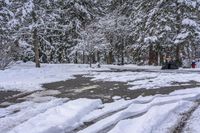 Canada Lake and Residential House on a Snow-Covered Road