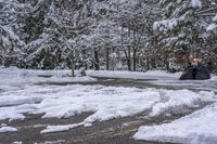 Canada Lake and Residential House on a Snow-Covered Road