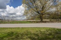 a fire hydrant on a corner by the side of a road near a field