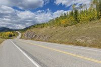 Canada Landscape: Alberta's Mountains and Forest