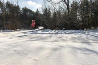 Canada Landscape: Asphalt Road Through the Forest