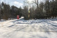 Canada Landscape: Asphalt Road Through the Forest