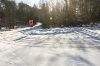 Canada Landscape: Asphalt Road Through the Forest