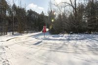 Canada Landscape: Asphalt Road Through the Forest