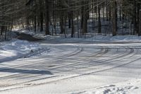 Canada Landscape: Forest Road