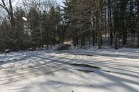 Canada Landscape: Forest Roads Covered in Snow