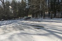 Canada Landscape: Forest Roads Covered in Snow