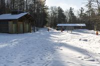 Canadian Landscape: Snowy Forest Views