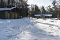 Canadian Landscape: Snowy Forest Views