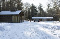 Canadian Landscape: Snowy Forest Views