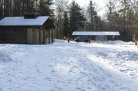 Canadian Landscape: Snowy Forest Views