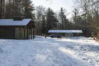 Canadian Landscape: Snowy Forest Views