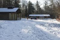 Canadian Landscape: Snowy Forest Views