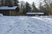 Canadian Landscape: Snowy Forest Views