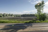 Canada Landscape: Green Fields and Trees