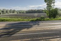 Canada Landscape with Green Fields and Trees