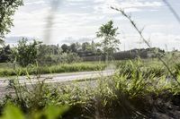 a motorcycle riding down the road on the side of a dirt road that's lined with grass and bushes