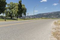 an empty street has a yellow sign with a left turn ahead next to a scenic lake and trees