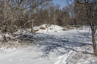 Canada Landscape in Ontario: A Clear Sky Above