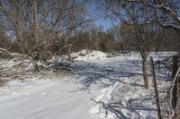 Canada Landscape in Ontario: A Clear Sky Above