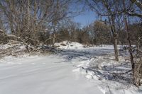 Canada Landscape in Ontario: A Clear Sky Above