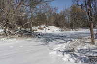 Canada Landscape in Ontario: A Clear Sky Above