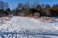 Canada Landscape: Ontario Forest and Grass