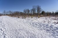 Canada Landscape: Ontario Forest and Grass