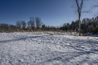 Canada Landscape: Ontario Forest Road