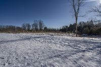 Canada Landscape: Ontario Forest Road